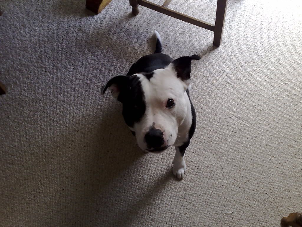 09072009850.jpg