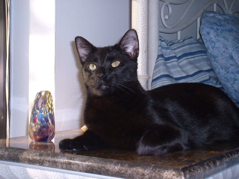 DSCF0036.jpg