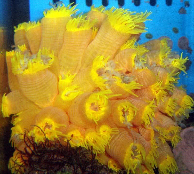 DSCF8154.jpg