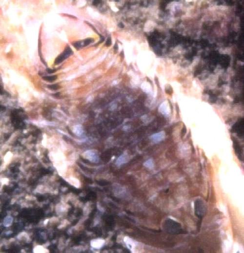 image005.jpg