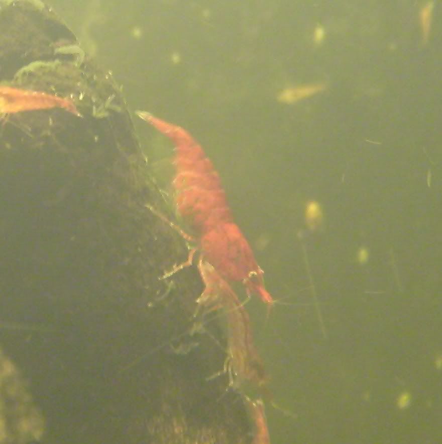 S7003859.jpg