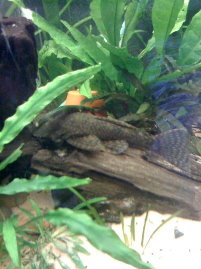 IMG_0959.jpg
