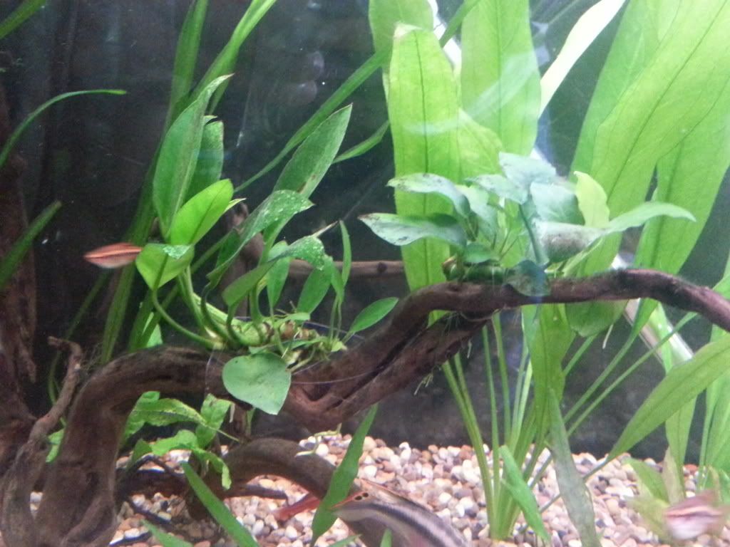 20120812_121557.jpg