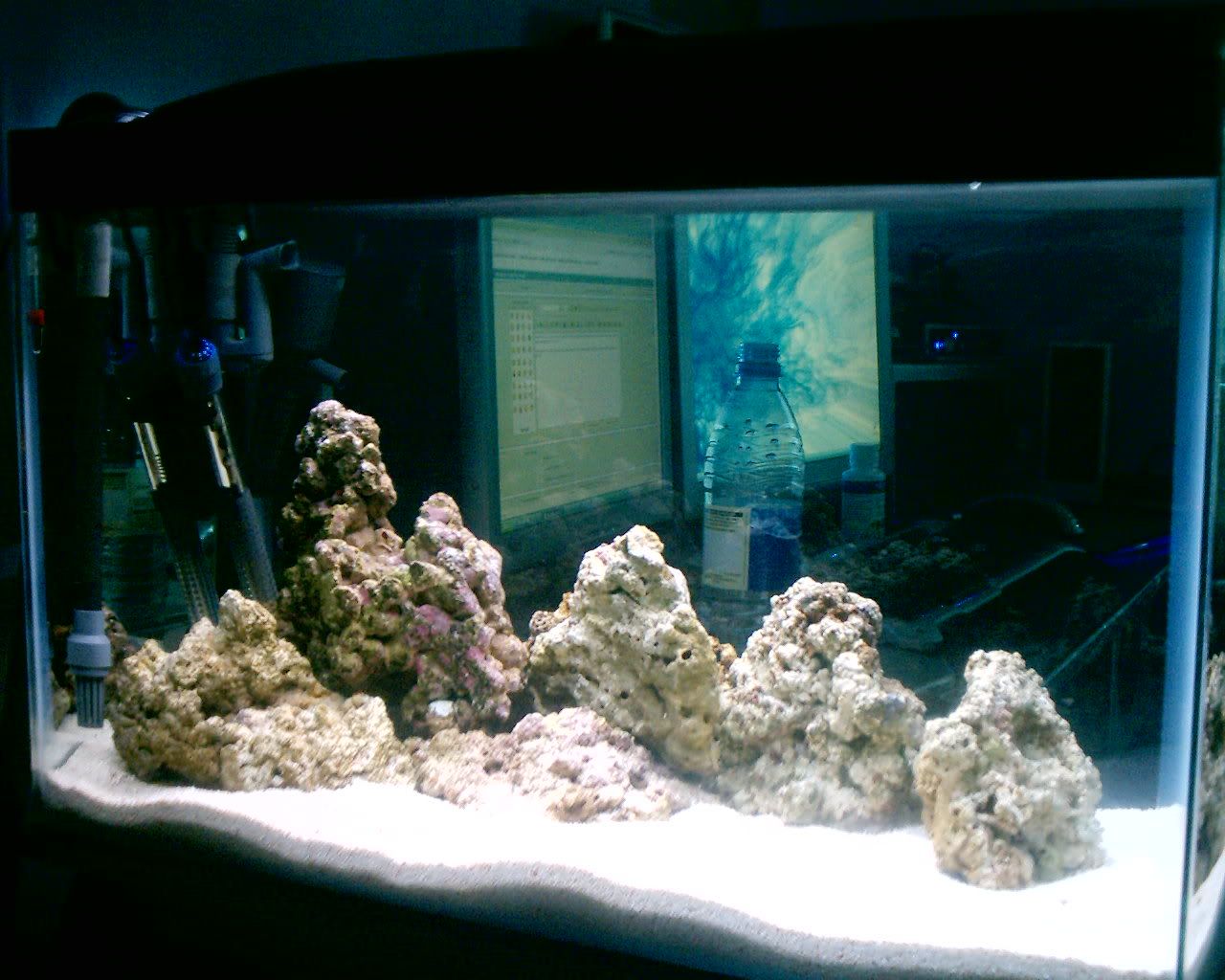 S1010031.jpg