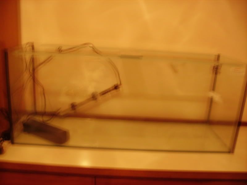 Picture036.jpg