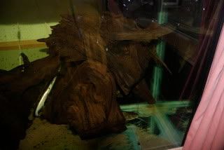 DSC_3820.jpg