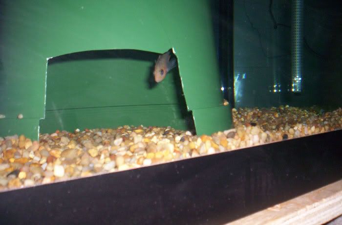 100_6222.jpg