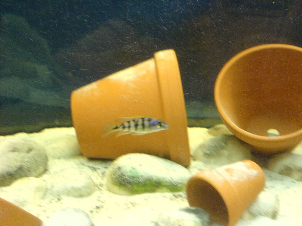DSC02158.jpg