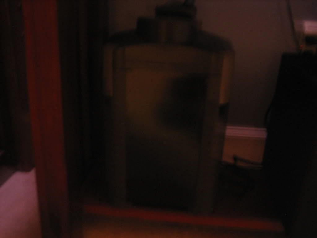 fish005.jpg