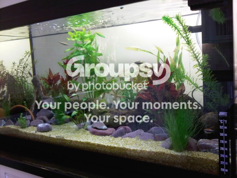 IMG00144-20100930-1111.jpg