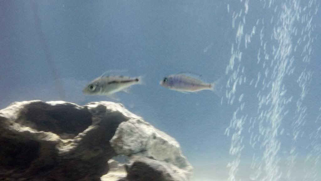 2012-03-29_19-44-50_726.jpg