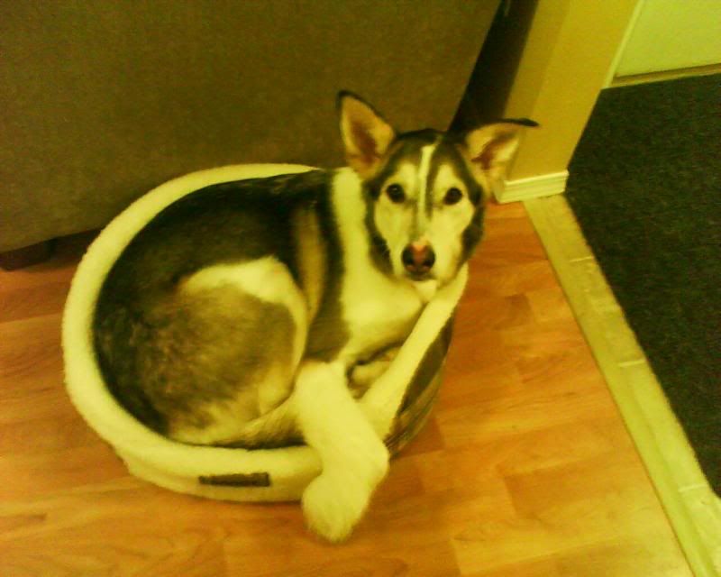 phonepics013.jpg