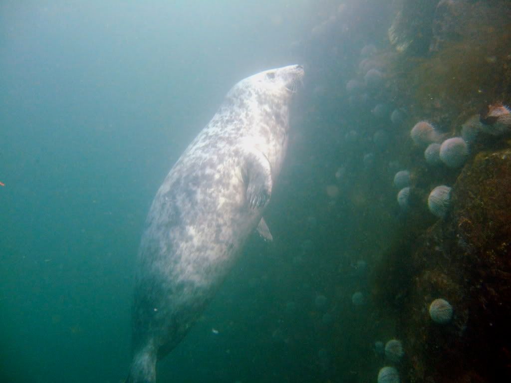 DSCF6256.jpg
