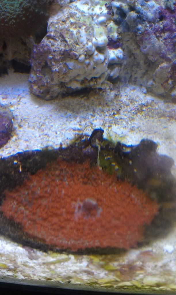 IMAG0613.jpg
