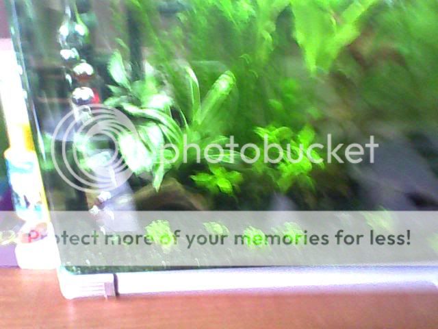Image_00051-2.jpg