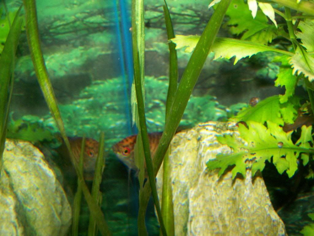 100_2099.jpg