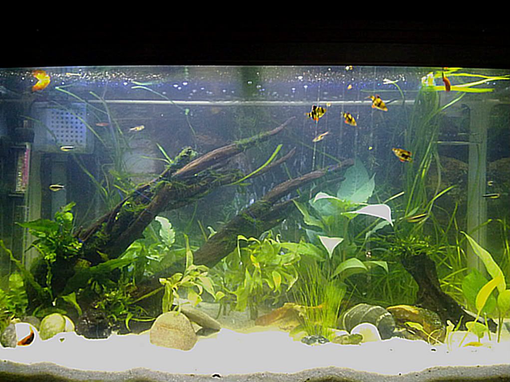 06022012678.jpg