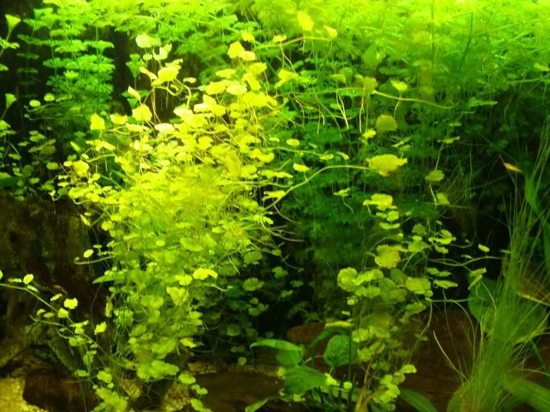 DSCF3922.jpg