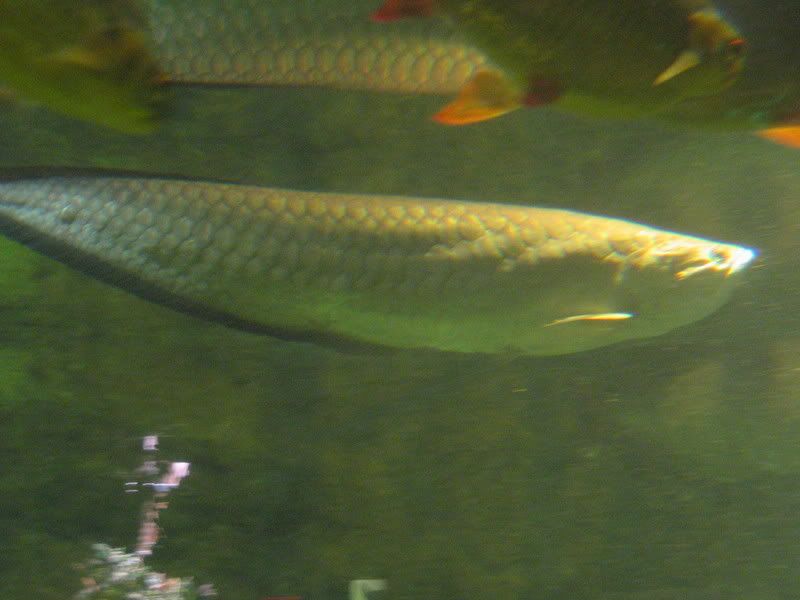 IMG_0719.jpg
