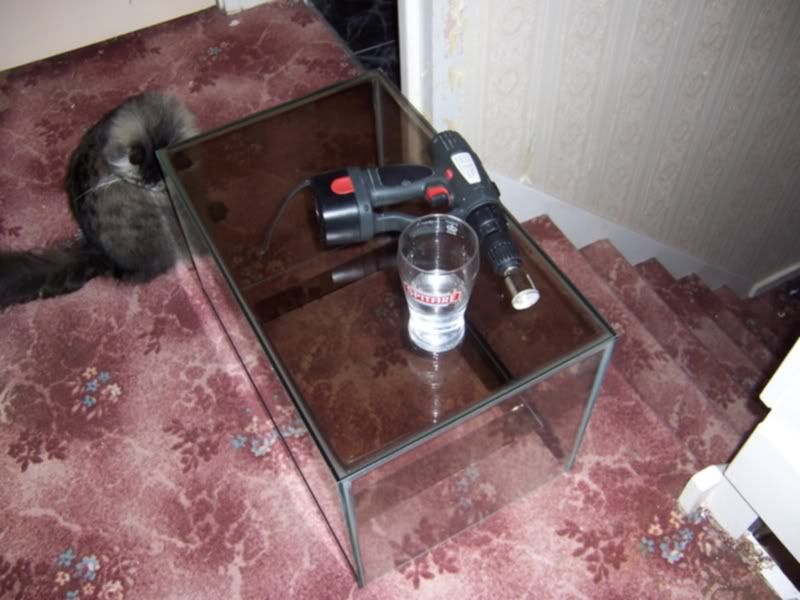 100_4870.jpg