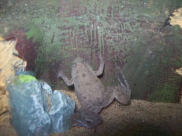 100_3304.jpg