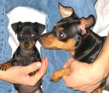 100-0071_IMG.jpg