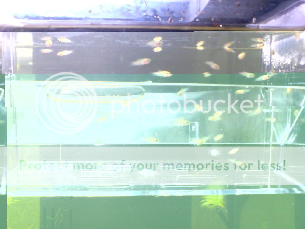 DSC00090.jpg
