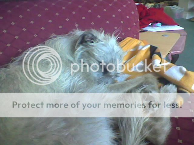 Image009.jpg