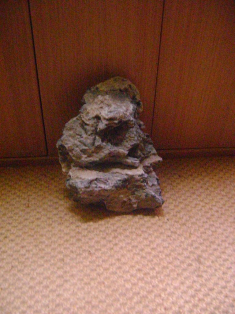 DSC028402.jpg