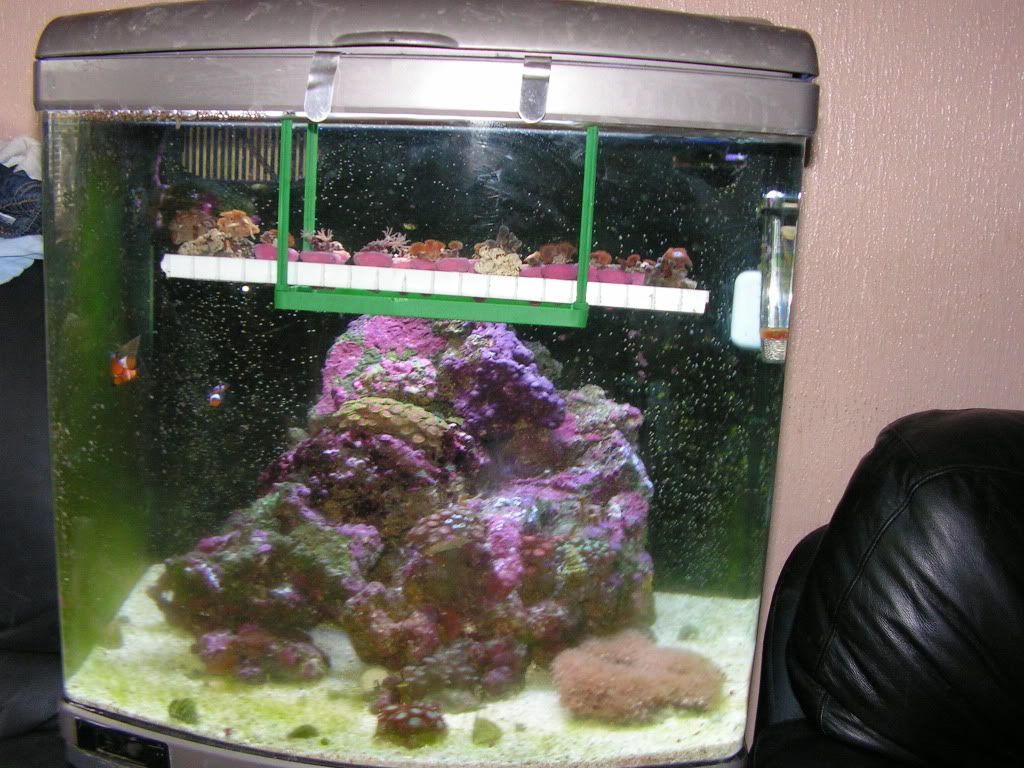 PICT1398.jpg