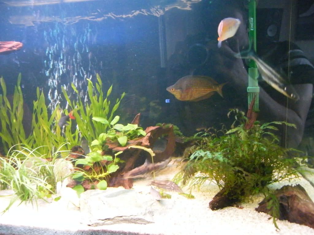 DSCF1035.jpg
