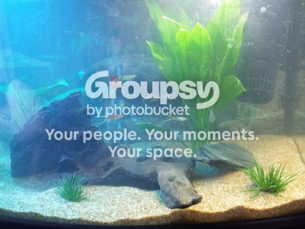 20111128_090719.jpg