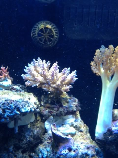 photo3-14.jpg