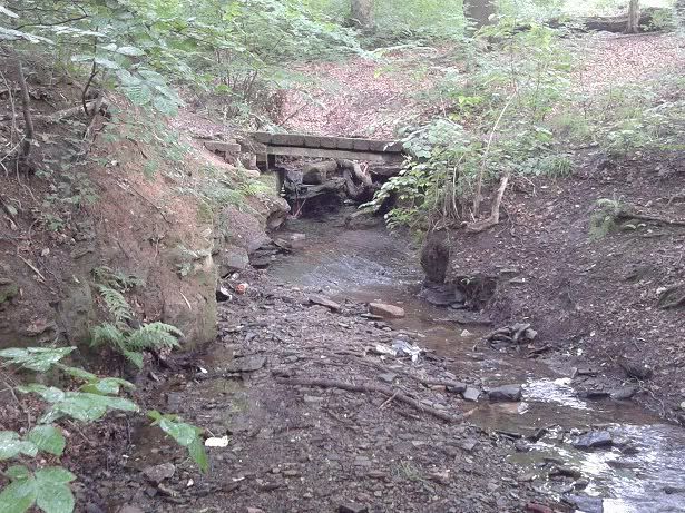 2012-06-20193849.jpg