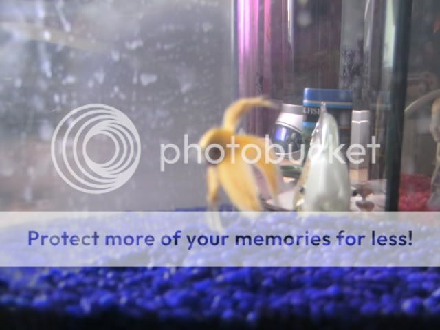 ee0282fd.jpg