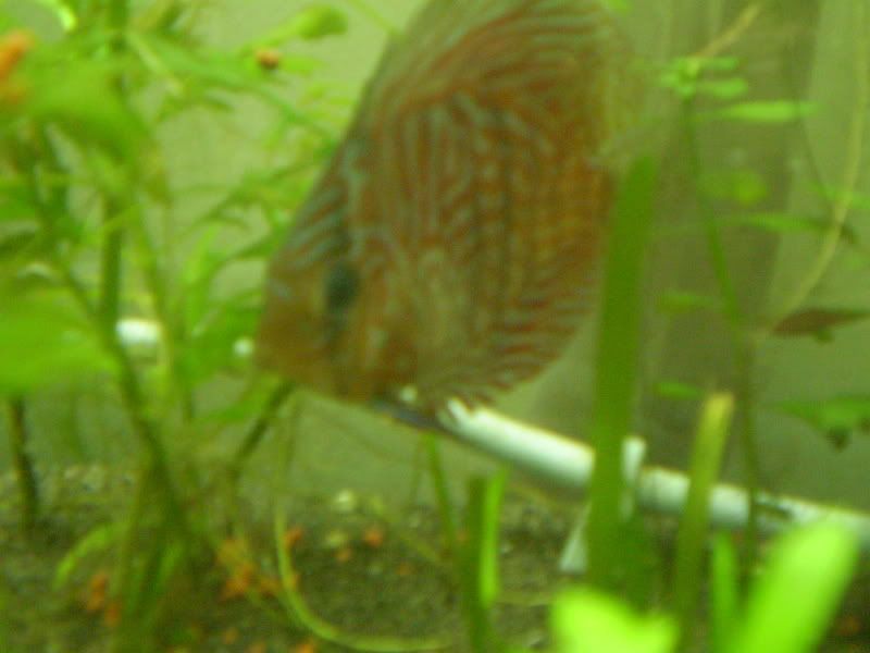 P9020113.jpg