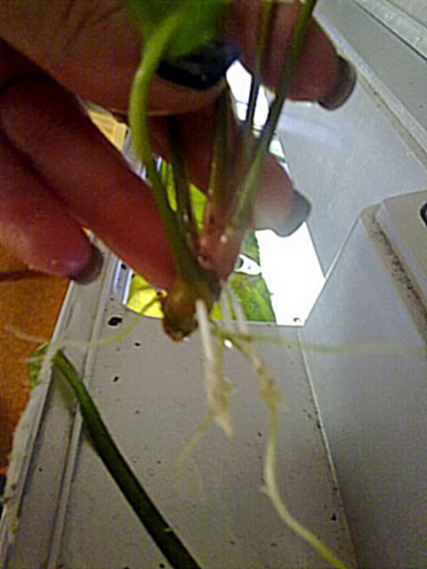 06032012881.jpg
