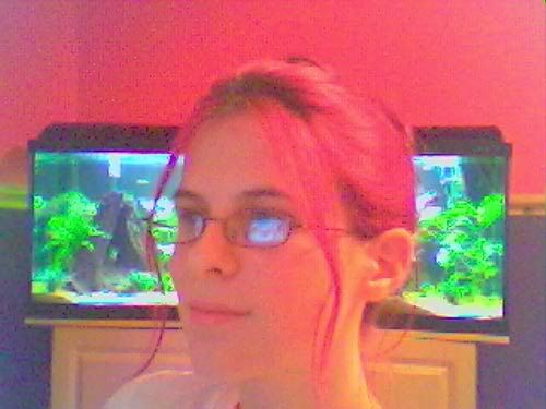 webcam2.jpg