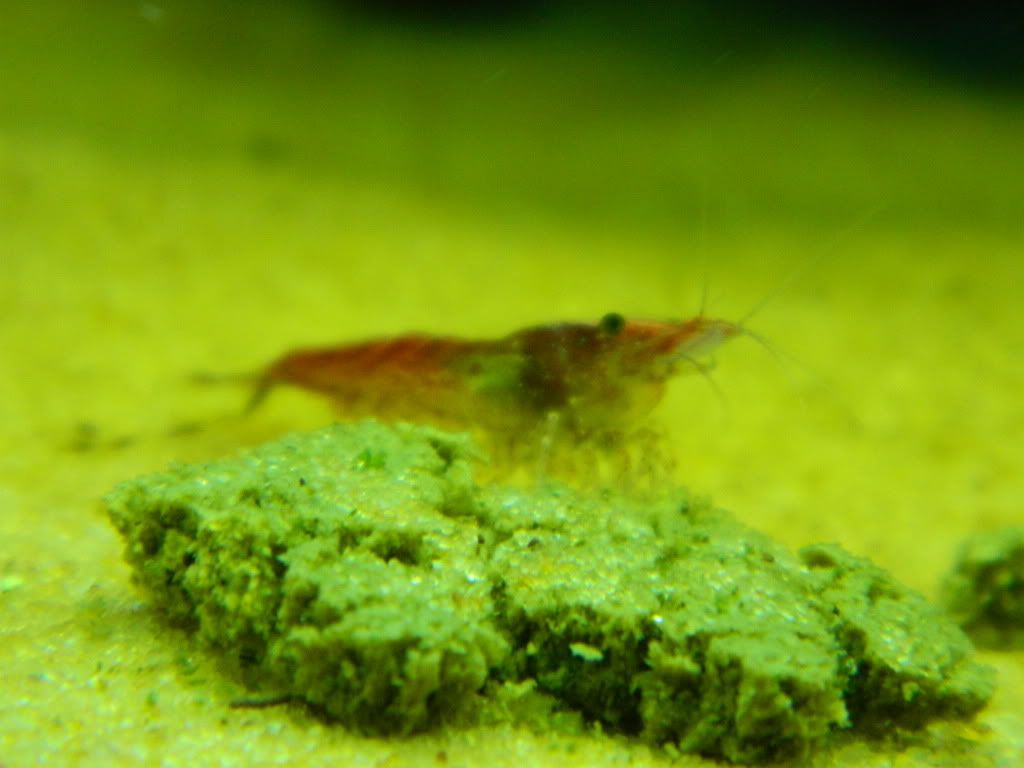 DSCN0888.jpg