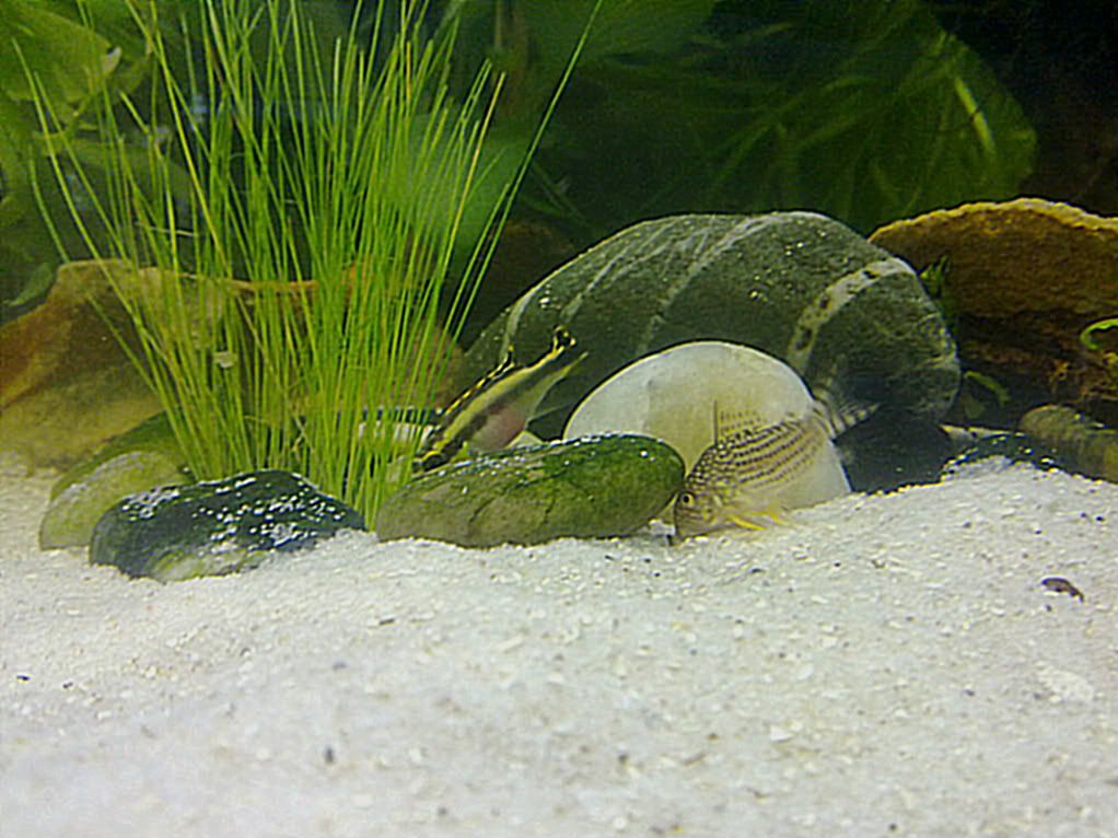 06022012668.jpg