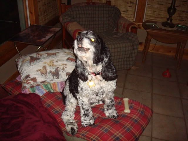pepper005.jpg