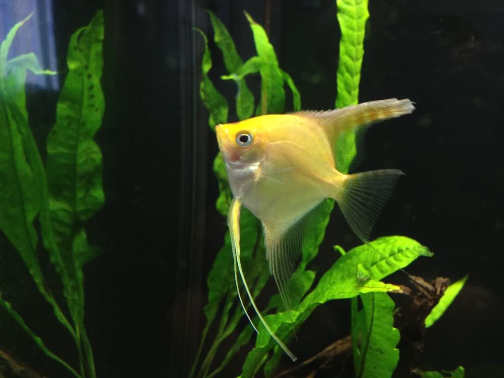 null_zpsf1abbca6.jpg