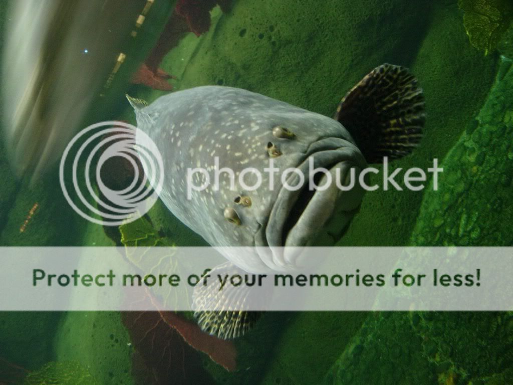 2008072.jpg