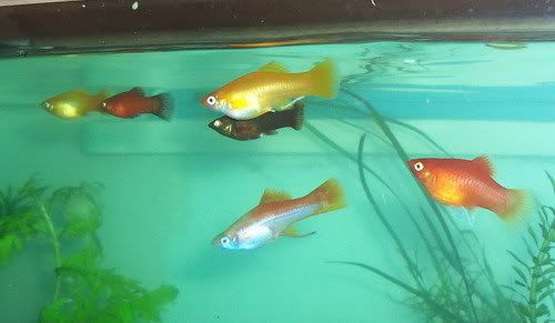 100_1453.jpg