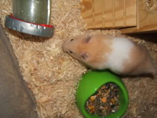 DSCF3593.jpg