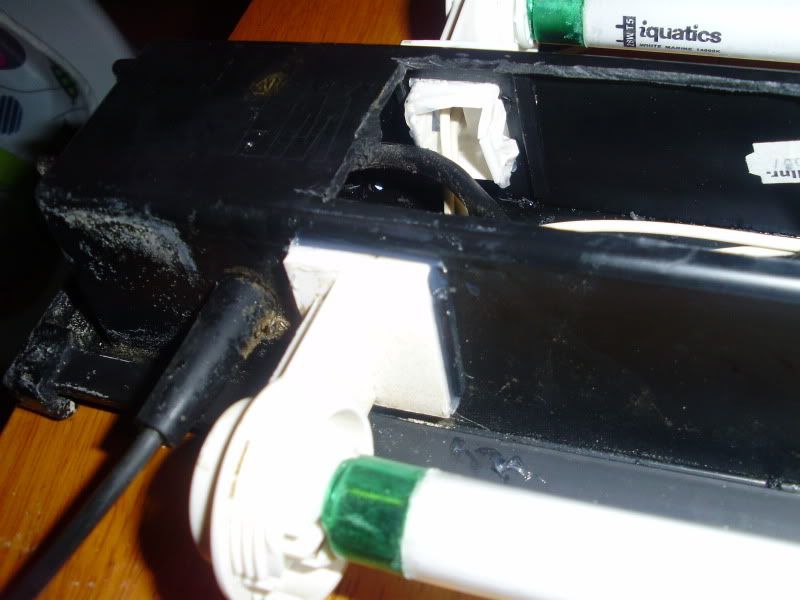 PC290289.jpg