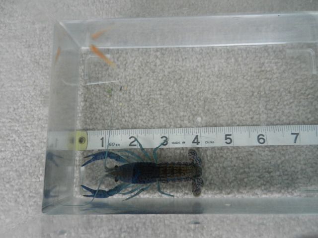 DSCN3543.jpg