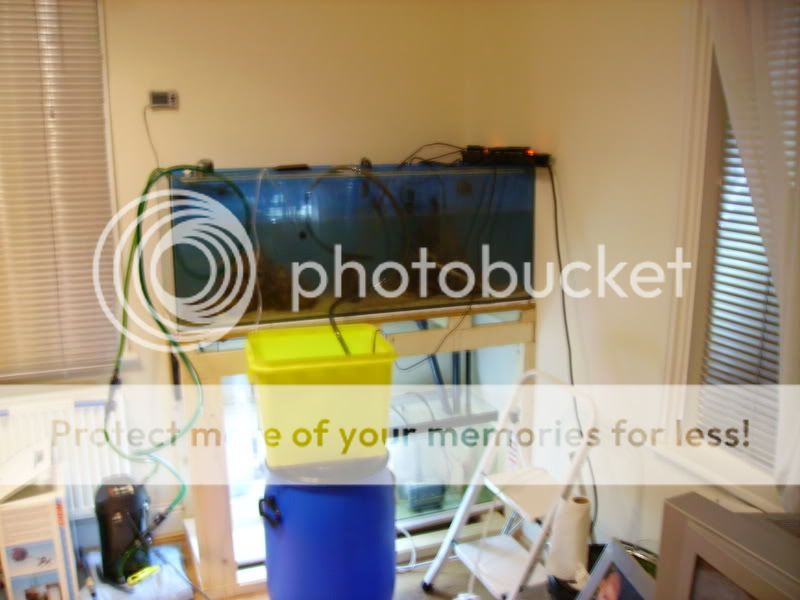 4footbuild065.jpg