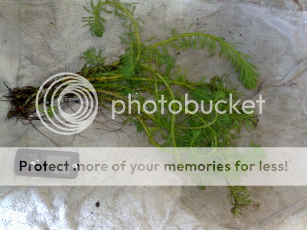 280820091189.jpg
