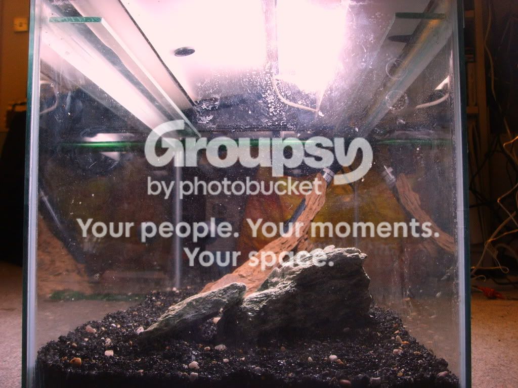 fishtank011.jpg